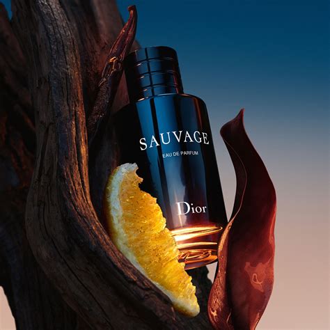 sauvage dior saphir|Dior Sauvage fragrance.